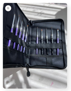 Brush Set with a free Brush Case