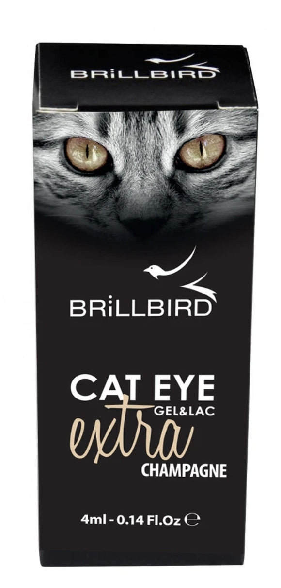 Cat Eye - Champagne